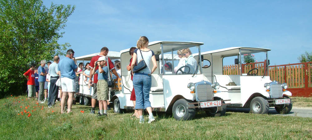 Ausflug in Fertőrákos