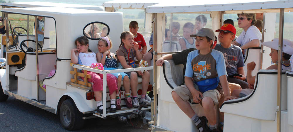 Children travelling by electric car