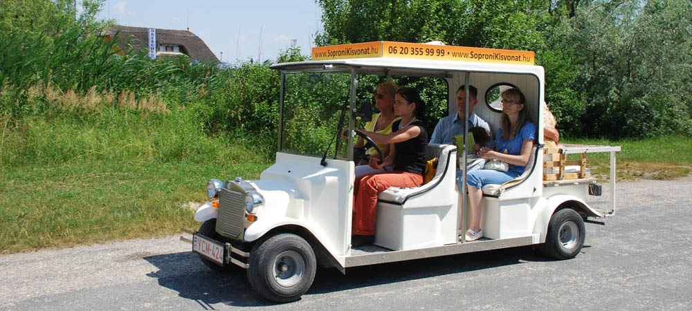 Electric car at Lake Fertő