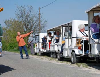 Elektromos autók