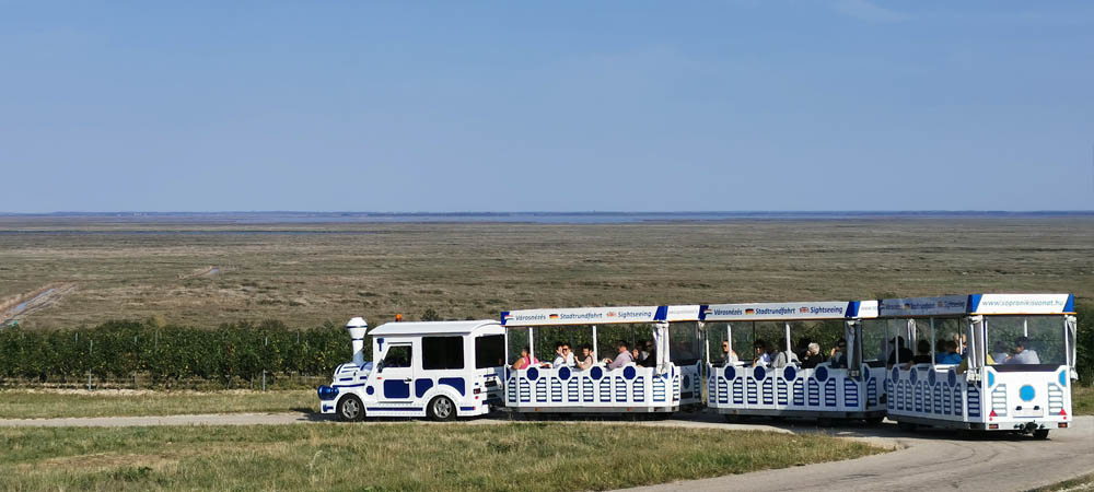 Neusiedler See-Seewinkel