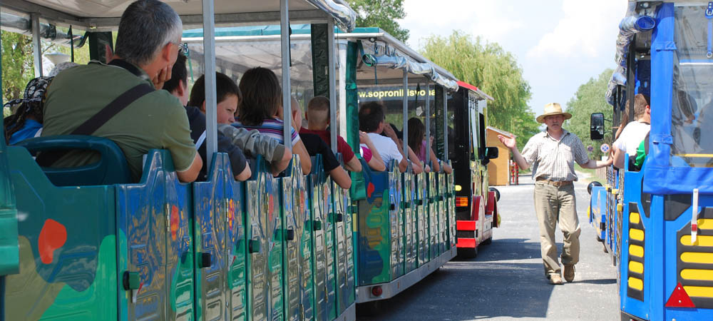 Straßenbahn